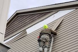 Best Custom Trim and Detailing for Siding  in Pelzer, SC